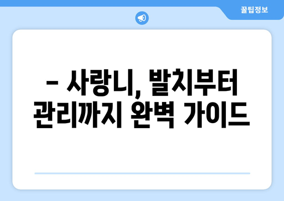 사랑니 치료, 이제 막막하지 않아요! | 사랑니 발치, 사랑니 통증, 사랑니 관리, 사랑니 치료 과정, 사랑니 비용