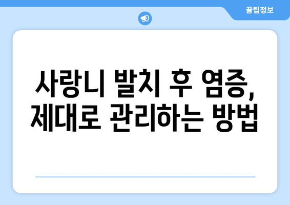 매복 사랑니 발치 후 염증, 이렇게 치료하세요! | 사랑니 발치, 염증 관리, 통증 완화, 회복 가이드