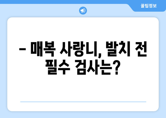 매복된 사랑니 발치 전 꼭 확인해야 할 5가지 | 사랑니 발치, 주의 사항, 발치 전 검사