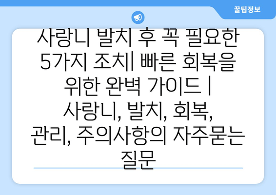 사랑니 발치 후 꼭 필요한 5가지 조치| 빠른 회복을 위한 완벽 가이드 | 사랑니, 발치, 회복, 관리, 주의사항