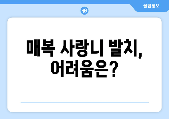 매복 사랑니 발치, 구강외과 전문의가 왜 필요할까요? | 사랑니 발치, 구강외과 전문의 역할, 안전한 발치