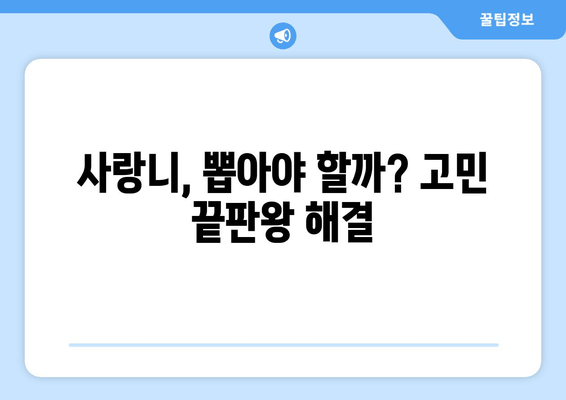 사랑니, 뽑아야 할까 말아야 할까? | 사랑니 발치 고민 해결 가이드