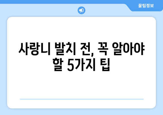 신경과 가까운 사랑니, 걱정 없는 발치를 위한 5가지 팁 | 사랑니 발치, 신경 손상, 통증 완화, 발치 후 관리