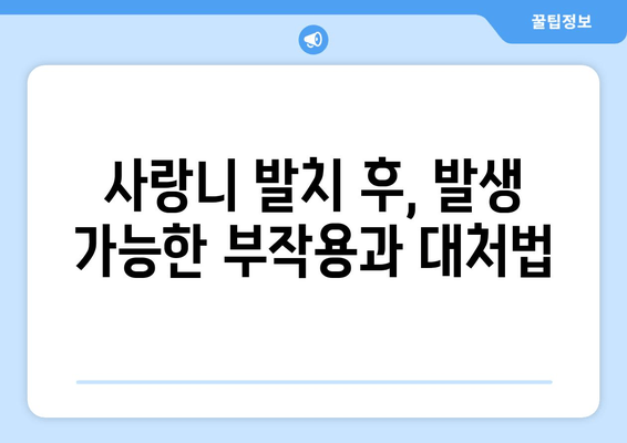 사랑니 발치 후 꼭 알아야 할 7가지 주의사항 | 사랑니 발치, 회복, 부작용, 관리