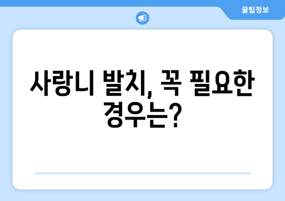 통증 없어도 고민해야 할까? 예방적 사랑니 발치 고려 가이드 | 사랑니, 발치, 치과, 예방