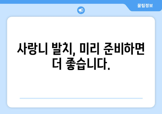 통증 없어도 고민해야 할까? 예방적 사랑니 발치 고려 가이드 | 사랑니, 발치, 치과, 예방