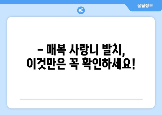 매복 사랑니, 어떤 치과에서 뽑아야 할까요? | 매복 사랑니 치과 선택 가이드,  확인해야 할 사항