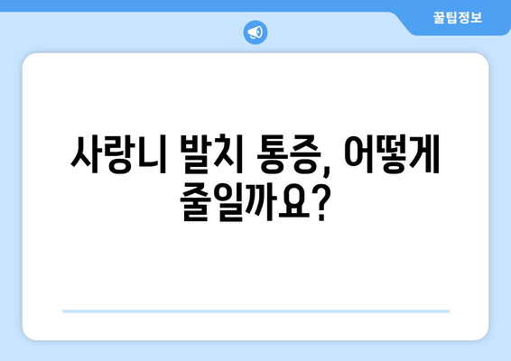 사랑니 발치 고민, 나에게 맞는 계획 세우기 | 사랑니 발치, 통증 완화, 회복 가이드