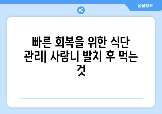 사랑니 발치 후 꼭 필요한 5가지 조치| 빠른 회복을 위한 완벽 가이드 | 사랑니, 발치, 회복, 관리, 주의사항