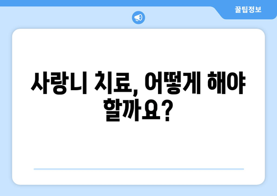 사랑니, 뽑아야 할까? 말아야 할까? | 사랑니 관리, 사랑니 발치, 사랑니 통증, 사랑니 치료