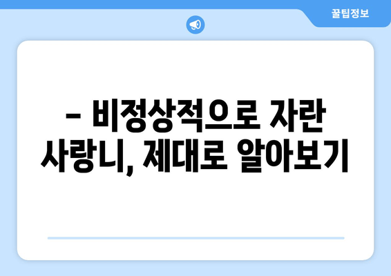 비정상적으로 자란 사랑니, 안전하게 제거하는 방법 | 사랑니 발치, 사랑니 제거 수술, 사랑니 통증