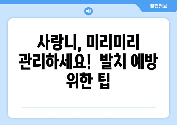 사랑니 조기 발치 고민? 꼭 알아야 할 정보 | 사랑니, 발치, 치과, 통증, 예방