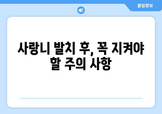 사랑니 발치 후 완벽 관리 가이드| 주의 사항, 관리 방법, 팁까지 | 사랑니, 발치, 통증, 회복, 관리