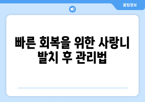 사랑니 발치 후 완벽 관리 가이드| 주의 사항, 관리 방법, 팁까지 | 사랑니, 발치, 통증, 회복, 관리
