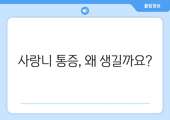 사랑니 통증, 미리 예방하세요| 사랑니 발치, 관리, 치료법 완벽 가이드 | 사랑니 통증, 사랑니 발치, 사랑니 관리, 사랑니 치료