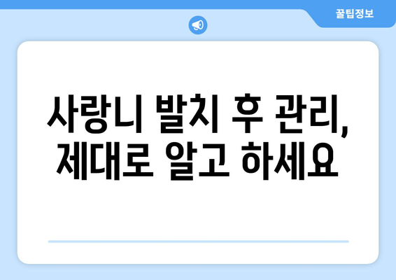 사랑니 통증, 미리 예방하세요| 사랑니 발치, 관리, 치료법 완벽 가이드 | 사랑니 통증, 사랑니 발치, 사랑니 관리, 사랑니 치료