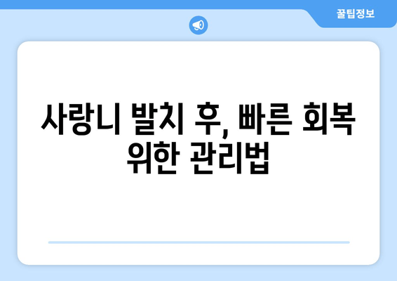 사랑니 발치, 최소 통증으로 이겨내는 방법 | 사랑니 발치 통증 줄이기, 마취, 회복 팁