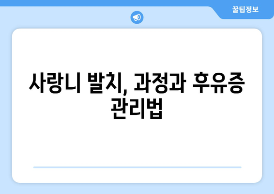 사랑니, 어떻게 뽑아야 할까요? | 서면, 사례별 사랑니 치료법, 사랑니 발치, 사랑니 통증, 사랑니 관리