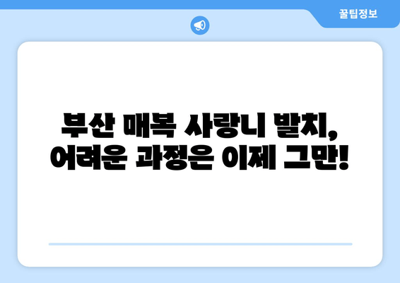 부산 매복 사랑니 발치, 안심 가이드| 과정부터 주의사항까지 | 사랑니 발치, 부산 치과, 통증 관리, 회복 가이드