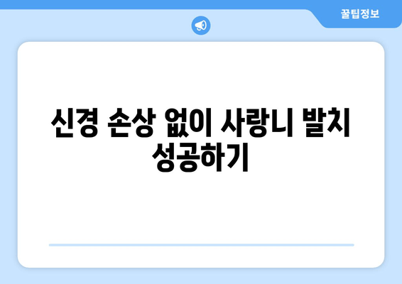 신경과 가까운 사랑니, 걱정 없는 발치를 위한 5가지 팁 | 사랑니 발치, 신경 손상, 통증 완화, 발치 후 관리