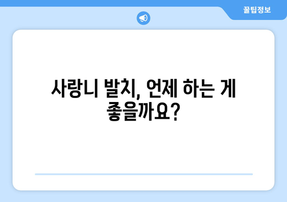 사랑니, 언제 뽑아야 할까요? | 사랑니 관리, 발치 시기, 통증 완화