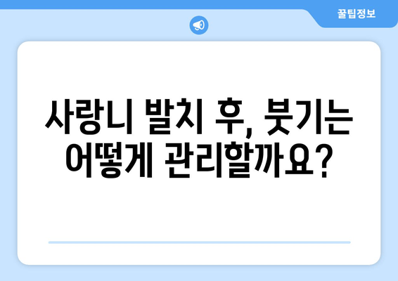 사랑니 발치, 두려워 말고 이렇게 해결하세요! | 사랑니 발치, 통증, 붓기, 회복, 팁, 주의사항