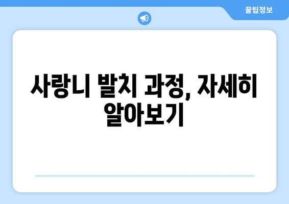 사랑니 발치, 꼭 알아야 할 정보| 과정부터 관리까지 완벽 가이드 | 사랑니, 발치, 통증, 회복, 주의사항, 비용