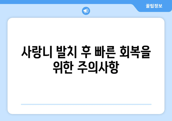 사랑니 발치, 꼭 알아야 할 정보| 과정부터 관리까지 완벽 가이드 | 사랑니, 발치, 통증, 회복, 주의사항, 비용