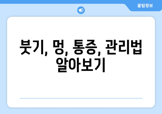 여름철 허벅지 지방흡입 후 압박복과 흉터 관리| 궁금한 모든 것 | 압박복 종류, 착용 기간, 흉터 관리 방법, 주의 사항