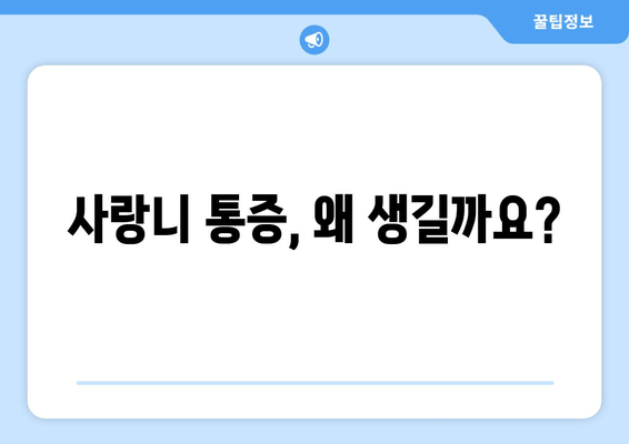 사랑니 관리, 언제부터 시작해야 할까요? | 사랑니 발치, 사랑니 통증, 사랑니 관리법, 사랑니 관리 시기