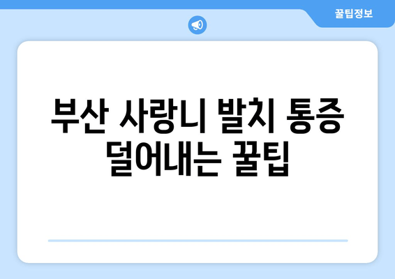 부산 사랑니 발치 통증 덜어내는 꿀팁| 성공적인 발치를 위한 가이드 | 사랑니, 발치, 통증, 부산 치과, 팁