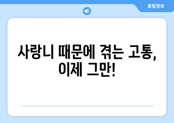 사랑니, 뽑아야 할까 말아야 할까? | 사랑니 발치 고민 해결 가이드