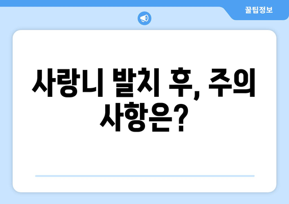 사랑니 발치| 나에게 딱 맞는 수술, 개인 맞춤형 치료 계획 | 사랑니, 발치, 치과, 구강 건강, 치료