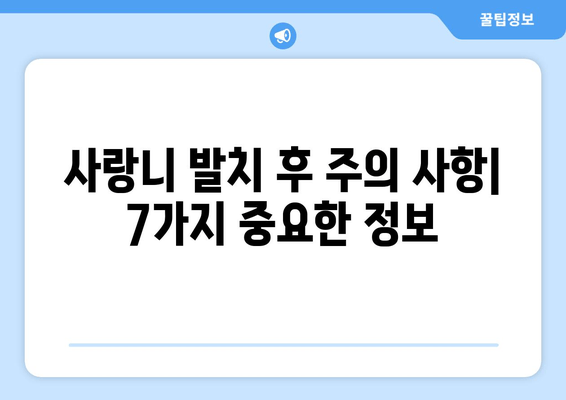 사랑니 발치 후 꼭 알아야 할 주의 사항 7가지 | 부기, 통증, 관리, 식단, 흡연