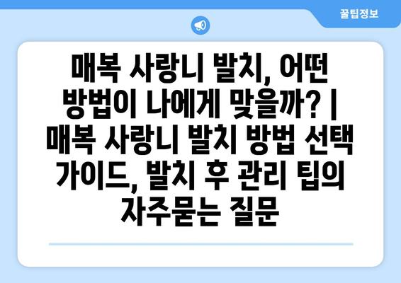 매복 사랑니 발치, 어떤 방법이 나에게 맞을까? | 매복 사랑니 발치 방법 선택 가이드, 발치 후 관리 팁