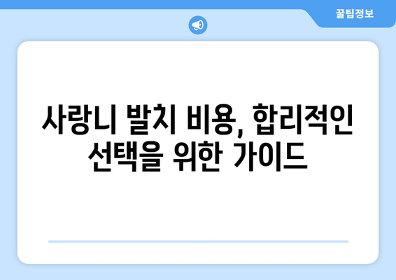 사랑니 발치, 어디서 할까? | 사랑니 치과 비교 가이드 & 최적 선택 팁