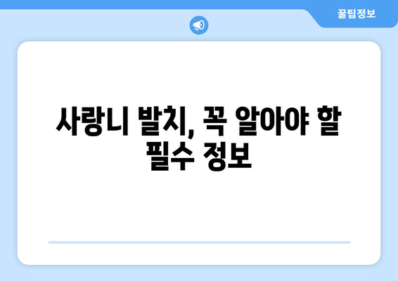 사랑니 발치, 꼭 알아야 할 필수 사항과 주의점 | 사랑니, 발치, 통증, 관리, 주의사항