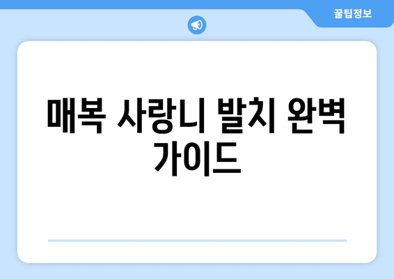 매복 사랑니, 이제 안심하고 발치하세요| 성공적인 발치를 위한 완벽 가이드 | 사랑니 발치, 매복 사랑니, 치과, 통증, 회복