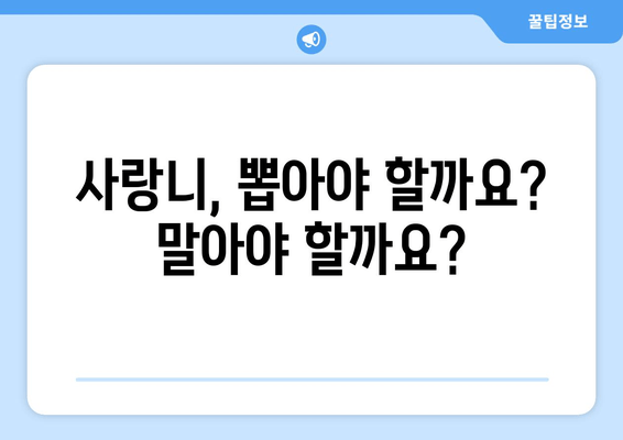 사랑니 관리, 언제부터 시작해야 할까요? | 사랑니 발치, 사랑니 통증, 사랑니 관리법, 사랑니 관리 시기