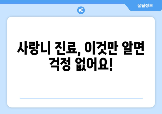 사랑니, 이제 걱정 끝! 치과 선택부터 진료까지 한눈에 확인하세요 | 사랑니, 치과, 진료, 정보, 가이드