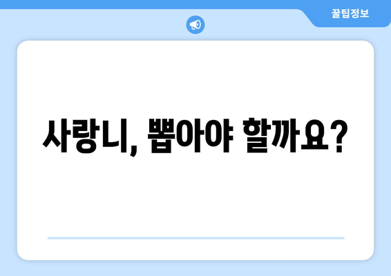사랑니 발치 고민, 이제 그만!  | 사랑니 발치, 고민 해결 가이드, 사랑니 발치 후 관리, 사랑니 발치 비용