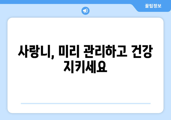 사랑니 근관 치료| 구강 건강 지키는 필수 정보 | 사랑니, 근관 치료, 치과, 통증 완화, 관리법