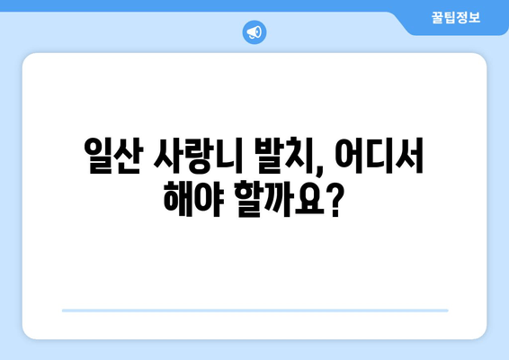 일산 사랑니 발치, 안전하고 편안하게! 믿을 수 있는 치과 선택 가이드 | 매복 사랑니, 발치, 치과 추천, 일산