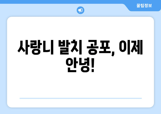 사랑니 제거 두려움, 이제 안녕! | 사랑니 발치 공포 극복 가이드