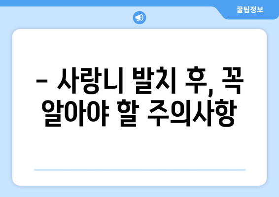 사랑니 발치 수술 계획, 왜 중요할까요? | 성공적인 발치를 위한 핵심 가이드