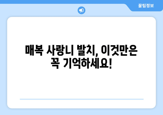 매복 사랑니 발치, 어떤 방법이 나에게 맞을까? | 매복 사랑니 발치 방법 선택 가이드, 발치 후 관리 팁