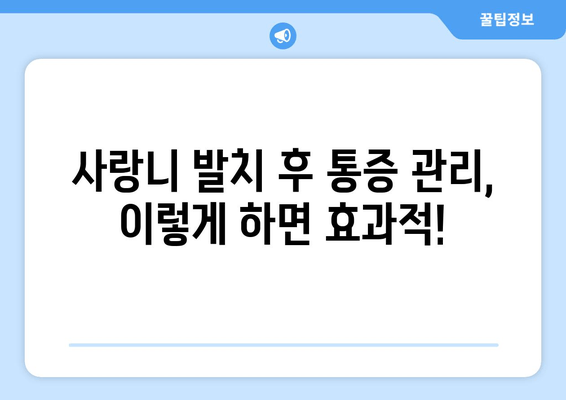 부산 사랑니 발치 통증, 이렇게 줄여보세요! | 사랑니 발치, 통증 최소화, 부산 치과 추천