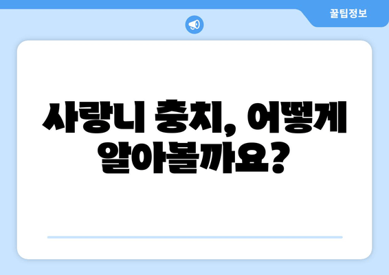 사랑니 충치, 치료 가능할까요? | 사랑니 충치 증상, 치료 방법, 예방법