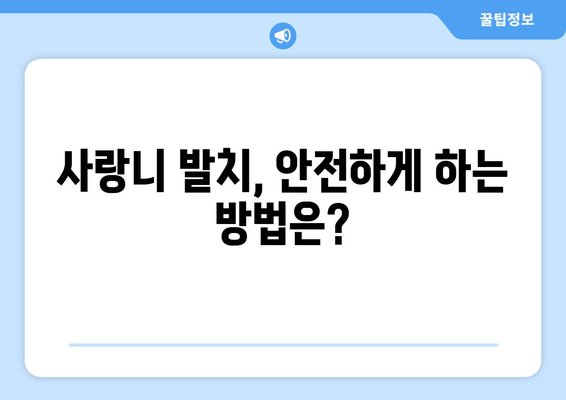 매복 사랑니 발치, 구강외과 전문의가 왜 필요할까요? | 사랑니 발치, 구강외과 전문의 역할, 안전한 발치