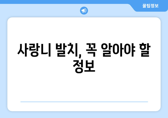 사랑니 발치, 꼭 알아야 할 정보| 과정부터 관리까지 완벽 가이드 | 사랑니, 발치, 통증, 회복, 주의사항, 비용